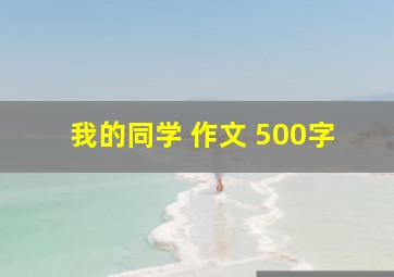 我的同学 作文 500字